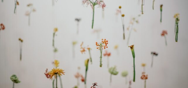 Den Sofistikerede Duft: En Dybdegående Guide til Hugo Boss The Scent