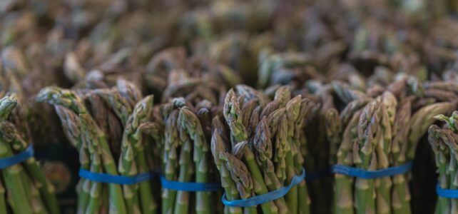 Kvalitetskattefoder til Din Kæledyrskat