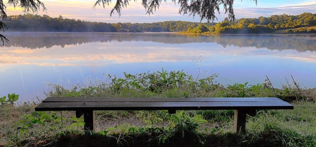 Find den perfekte bænk til dit hjem
