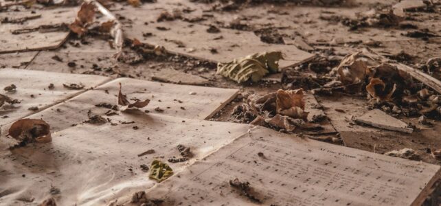 Oplev de Bedste Campingpladser i Esbjerg