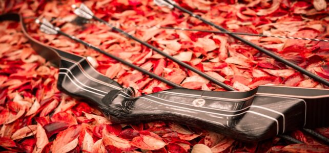 Opdag Det Bedste Udvalg af Blunt og Judopoint Spidser til Jagt og Træning